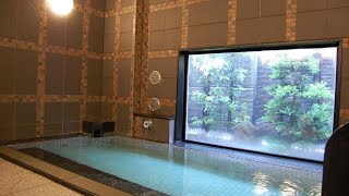 Hotel Route-Inn Tsuruga Ekimae, Tsuruga