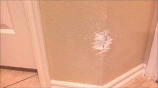 My great dane pup ( only 7 months ) ate wall while we were gone. after
a 20 min dry fix and 2nd coat of paint the next day it was good as
new.