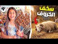 اخيرا روتينا الكامل يوم عيد الاضحى الخروف سخف بسبب الجو الحار رانيا تخلعت 