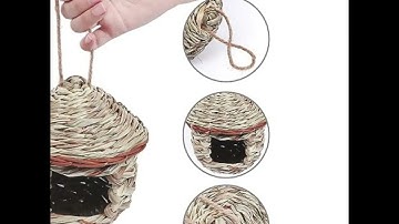 Creating the Perfect Bird Home: A Guide to Birdhouse Designs and Placement