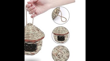 Creating the Perfect Bird Home: A Guide to Birdhouse Designs and Placement