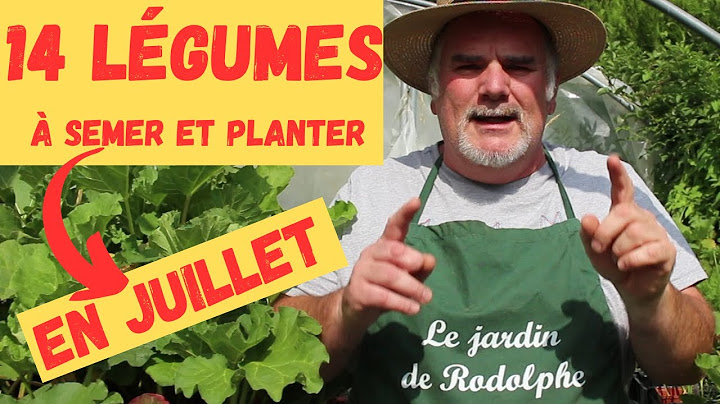 14 légumes à ne pas manquer en juillet : Semis et plantation dans votre potager!