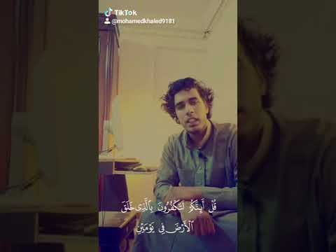قل أئنكم لتكفرون بالذي خلق الأرض في يومين محمد الفار
