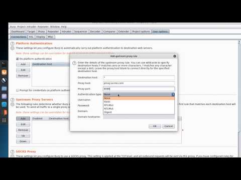 Burp Suite 2: Configuring Upstream Proxy