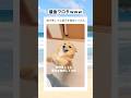 最後、飼い主がエグい本性表してて草 #shorts #動物 #おすすめ