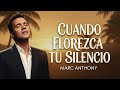 Marc Anthony Style – CUANDO FLOREZCA TU SILENCIO | Salsa Romántica