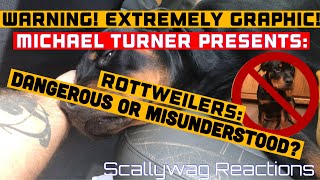 Rottweilers: Dangerous or Misunderstood?