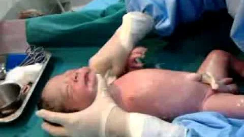 Agustin marcial cardenas bernal