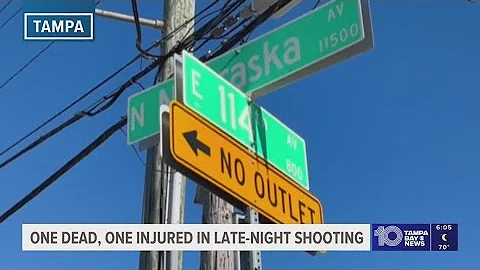 'Not a random incident': Teen killed, another hurt in Tampa shooting, police say