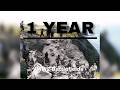 1 Year of WW2 Battlefields | Then vs Now