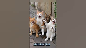 The Catnip Secret: How to Join the Fun! #shorts #cats #pet