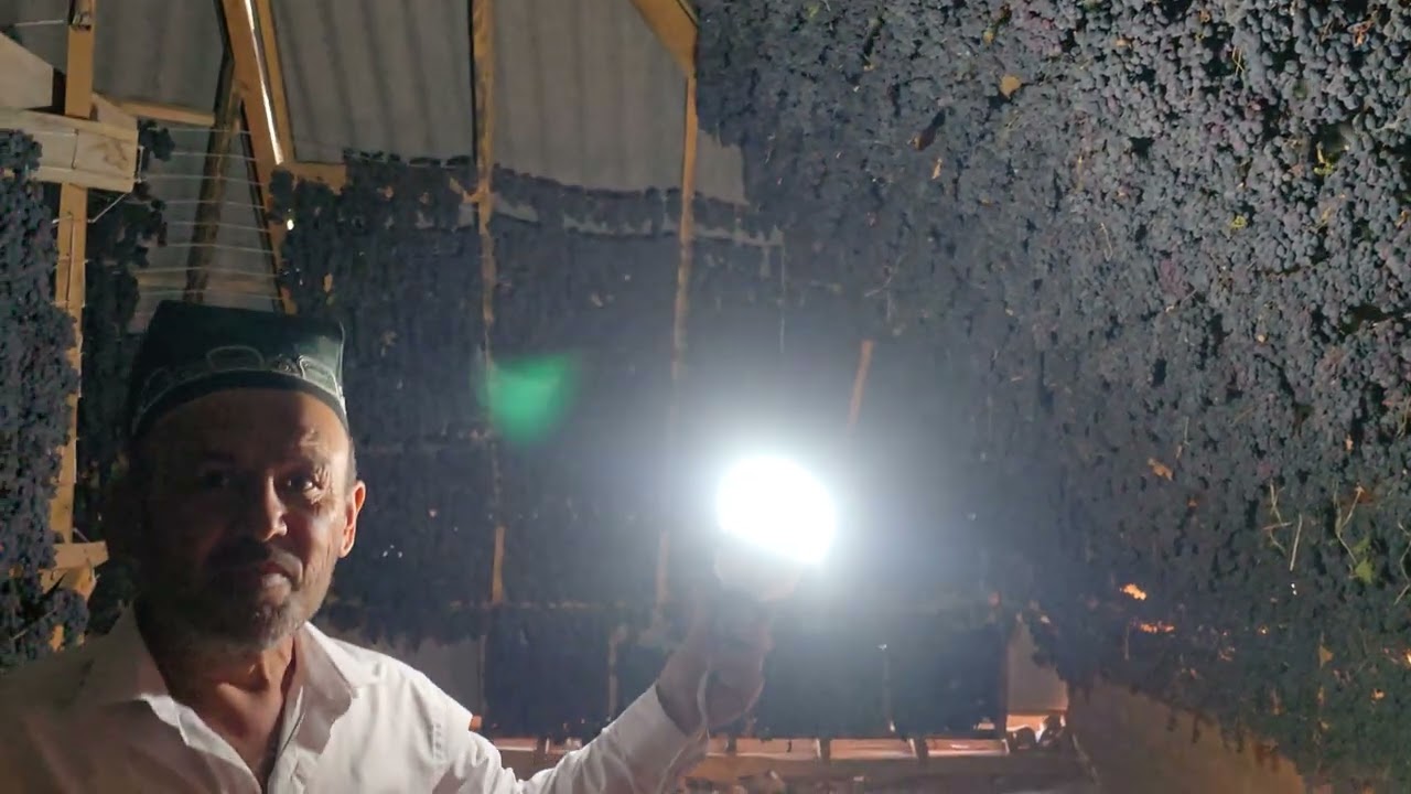 928276991 акаи Усмон. Хушк кардани ангур дар болои бом.