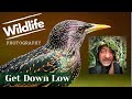 GARDEN WILDLIFE PHOTOGRAPHY UK | Ep 4 | The Low Down on Photographing Birds.