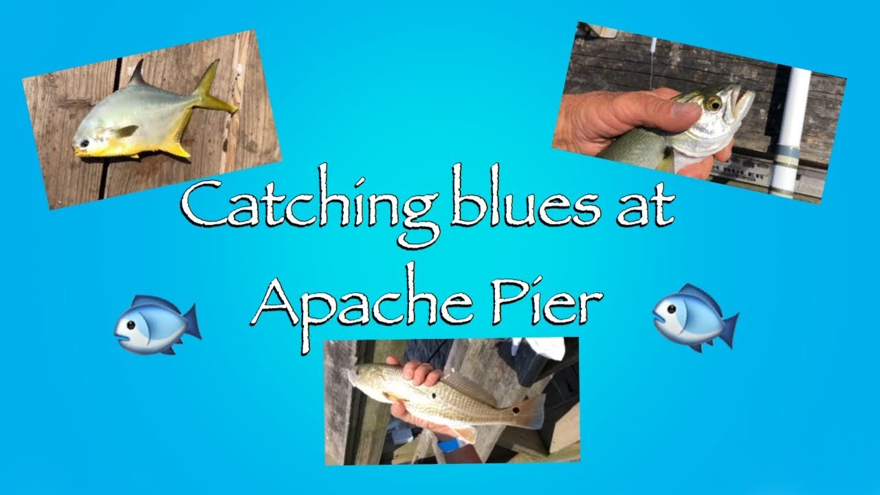 Catching blues at Apache Pier