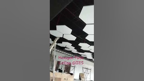 Hexagon type False Ceiling @IIES_2022