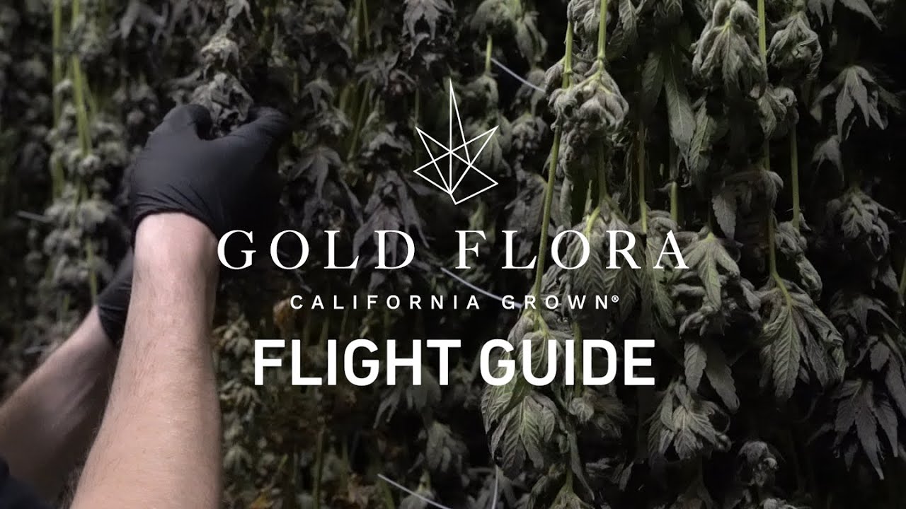 Airfield Supply Co. - Gold Flora Flight Guide