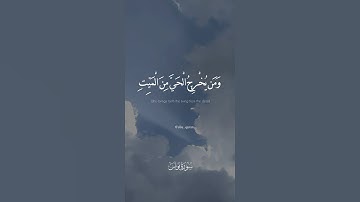 قل من يرزقكم من السماء والأرض _سوره يونس _عبدالرحمن مسعد