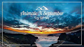 Animale X September - Cry For You