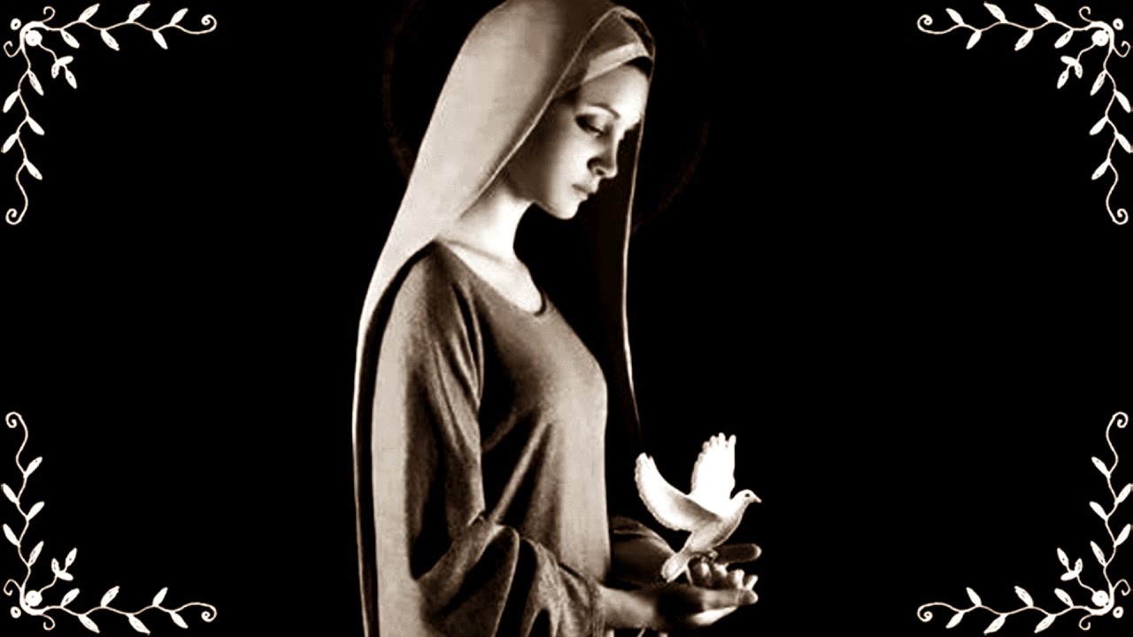 2)Tota pulchra es Maria - Version Harpa Dei (10 times)