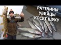 РАТТЛИНЫ УБИЙЦЫ ВЫКАШИВАЮТ ВСЮ ЩУКУ! Ловля щуки на воблеры и ратлины. Рыбалка на щуку 2020