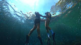 ATMOS MISSION3 Free Dive Fundive