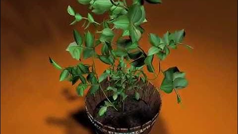 Plant Growth Cinema 4D, MoSpline