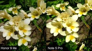 Redmi Note 5 Pro Vs Honor 9 Lite Camera Comparison
