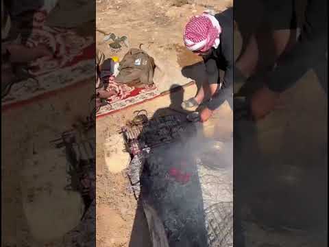 قطا كدري هطري الرطبة غرب العراق 23 نوفمبر 2025 التغطيه اكسبلور طيور  