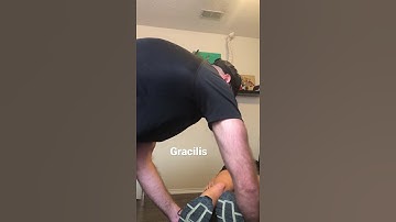 Gracilis Test