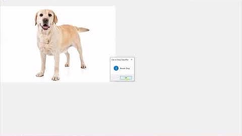 How to execute ML.NET Model in .NET Framework