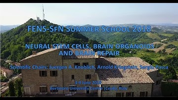 Introduction to the FENS-SfN Summer School 2018 on Neural stem cells, brain organoids & brain repair