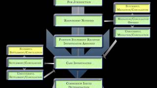 Understanding the Complaint Process The Complaint Process