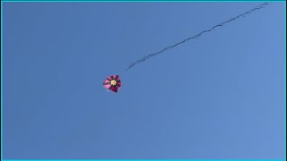 Festival Na Vila Verde Itaquera Muito Relo