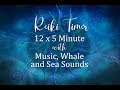 Reiki music with whale and sea sounds and 5 minute reiki timer