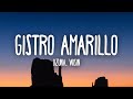 Ozuna x Wisin - Gistro Amarillo (Letra/Lyrics)