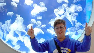 Xpark - High Tech Aquarium in TAIWAN