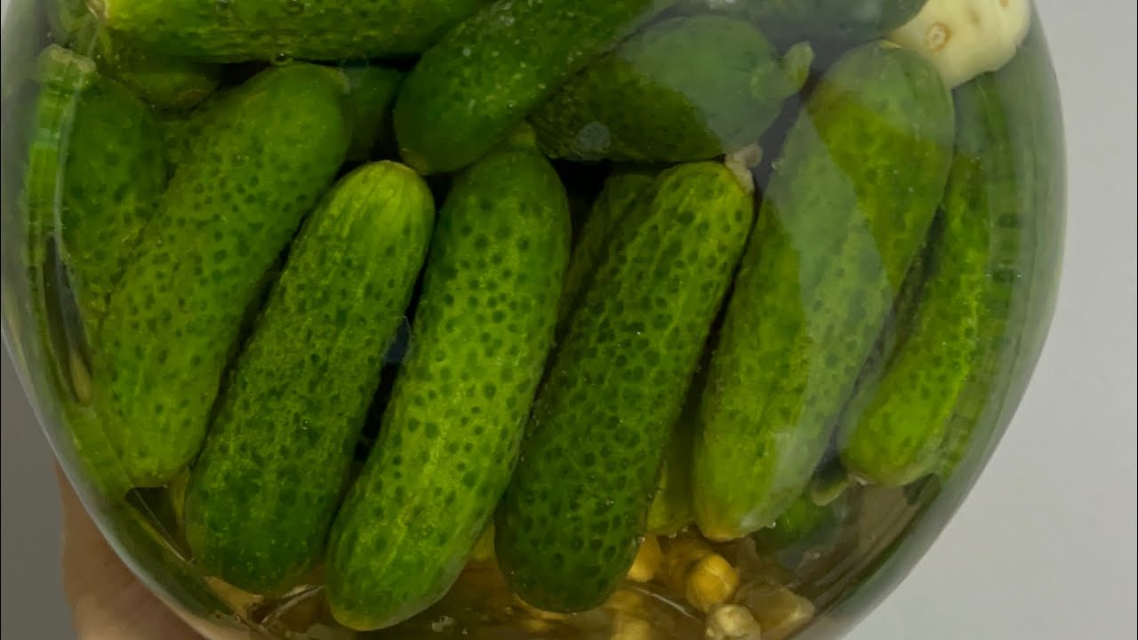 	طرز تهیه خیارشور خانگی ترد و خوشمزه | راز ترد شدن خیارشور مثل بازاری