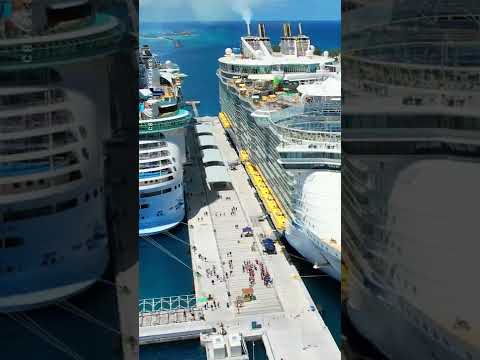 Video: Royal Caribbean Oasis of Seas kruiz kemasi rasmlari