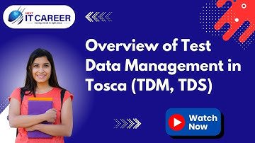 Overview of Test Data Management in Tosca (TDM, TDS)