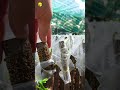 Công Đoạn Xác Định ĐẬU Hay RỚT Trong Quy Trình Sản Xuất