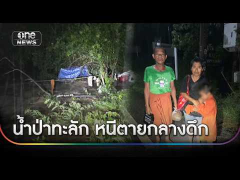 น้ำป่าทะลัก 3พ่อแม่ลูกหนีตายกลางดึก บ้านรถถูกซัดหาย | ข่าวเย็นช่องวัน | สำนักข่าววันนิวส์