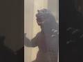GMK went berserk on Godzilla, Kong and Shin#godzilla #godzillaxkongnewempire #hiyatoys #neca #funny￼