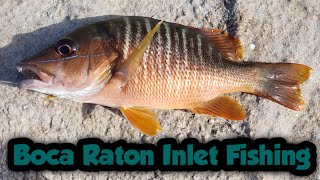 Catching Snappers, Grunts, and More at the Boca Raton Inlet