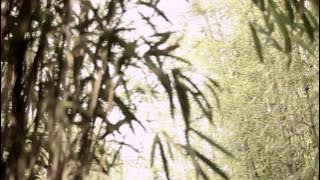 HEO YOUNG SAENG (허영생)_RAINY HEART_M/V(뮤직비디오)