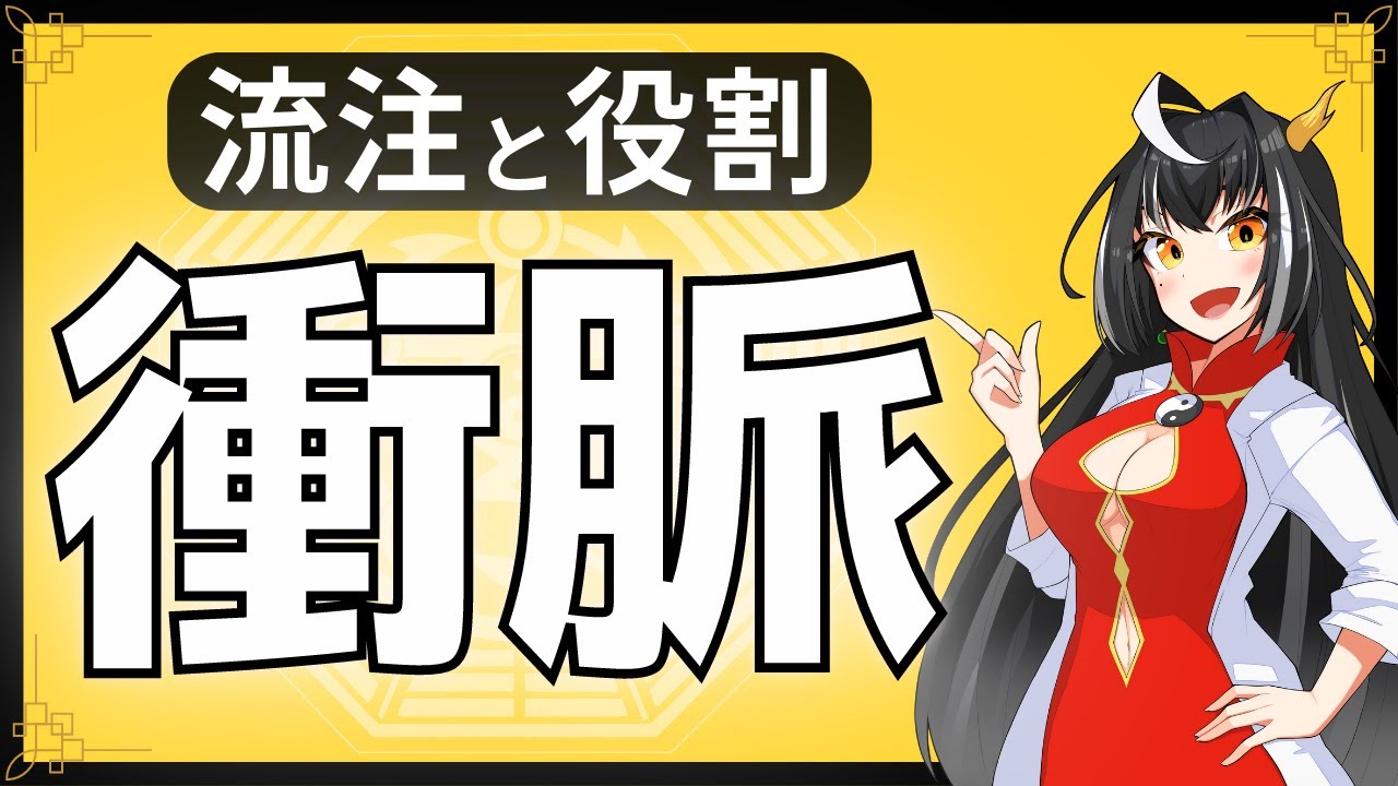【経絡経穴】9分で分かる衝脈の流注と役割【奇経八脈】 - YouTube
