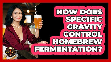 How Does Specific Gravity Control Homebrew Fermentation? - The Pint Guy