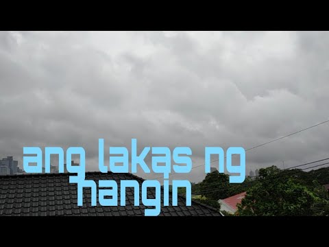 bagyong rolly ang