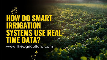 How do smart irrigation systems use real-time data?