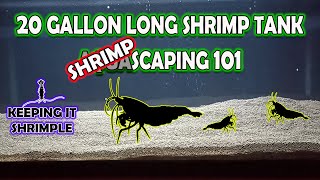 How To Do A Shrimp Tank Reset And Shrimp Scape
