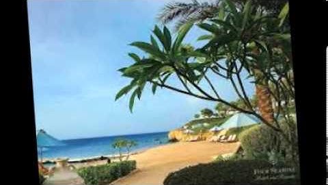 الشيخ ناصر القطامي سورة الشرح